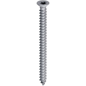 Self Tapping Screw 4 x 2Inch